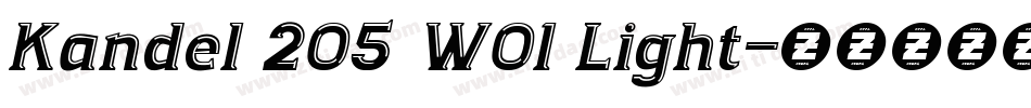 Kandel 205 W01 Light字体转换